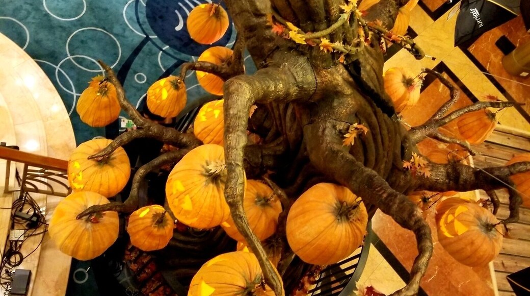 Disney Wonder Cruise Ship. Halloween on the High Seas. #lifeatexpedia #golden