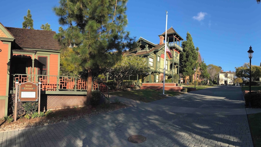 Super cool houses built around 1890. Some of the first around here I think.