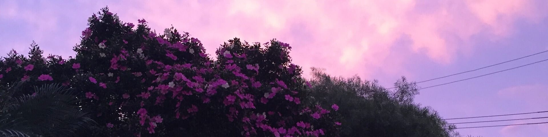 #LifeAtExpedia
#Sao Paulo on autumn!