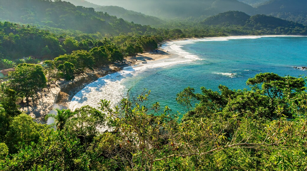A coastal landscape with a clear beach, dense greenery, and mountains in the background.