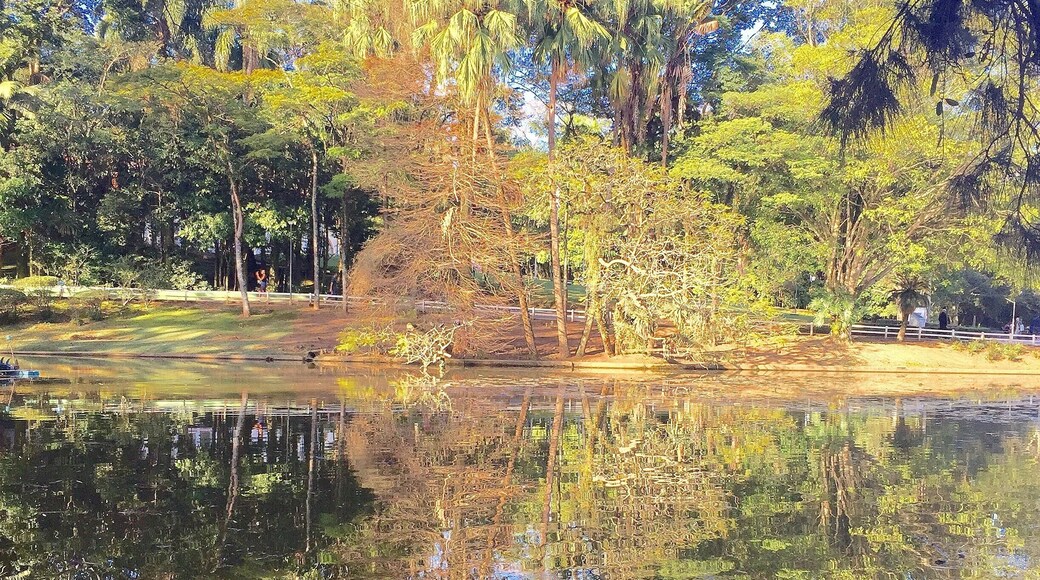 Nice park in north area of Sao Paulo