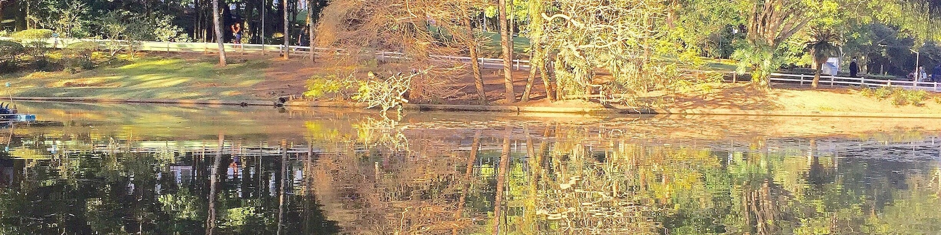 Nice park in north area of Sao Paulo