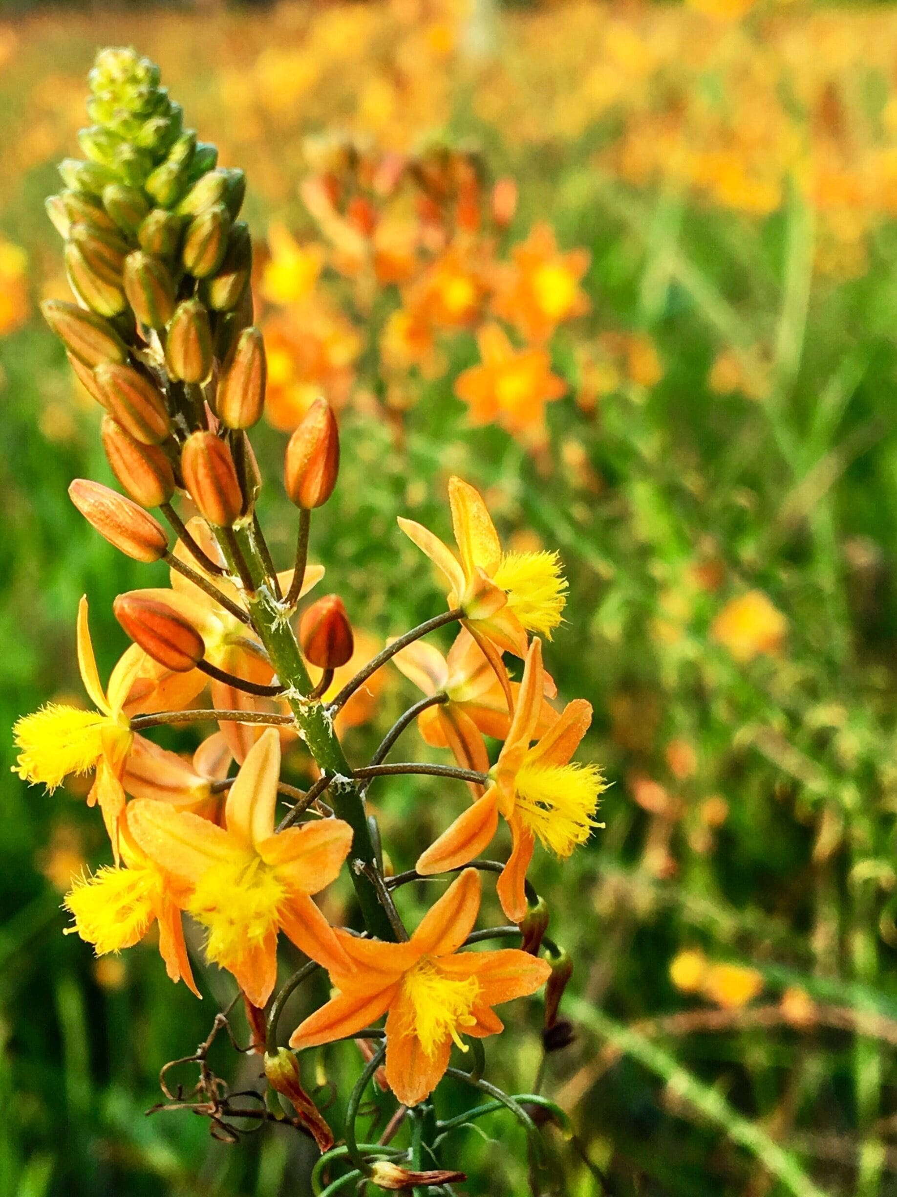 #Park
Parque do Povo.