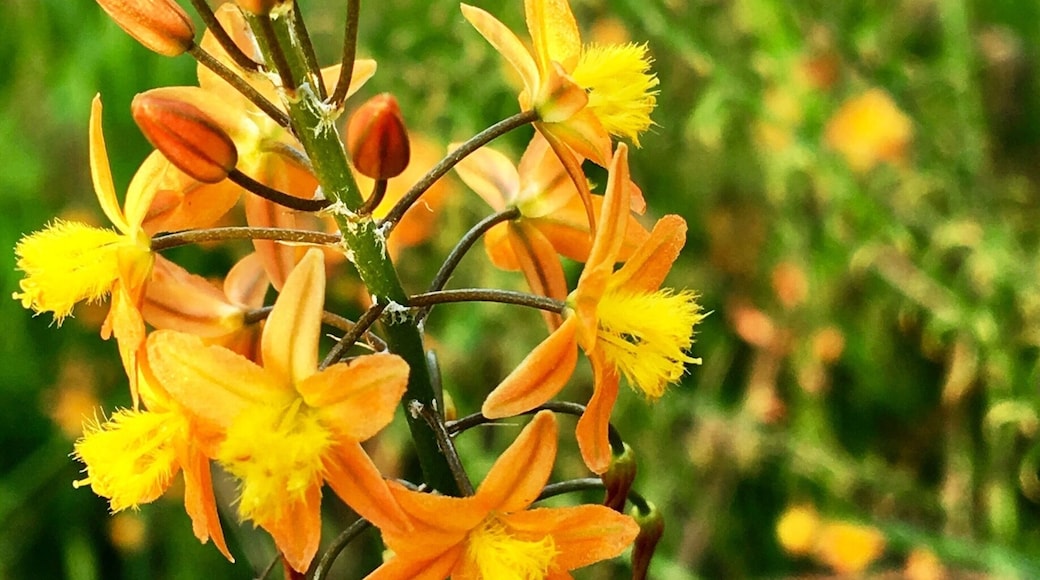 #Park
Parque do Povo.