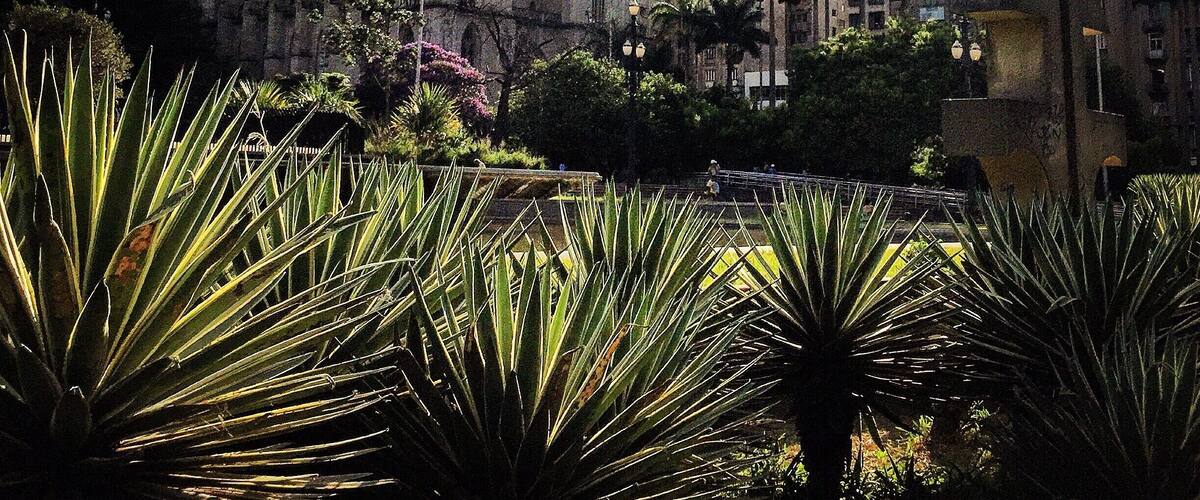 Sé Square - Sao Paulo downtonw