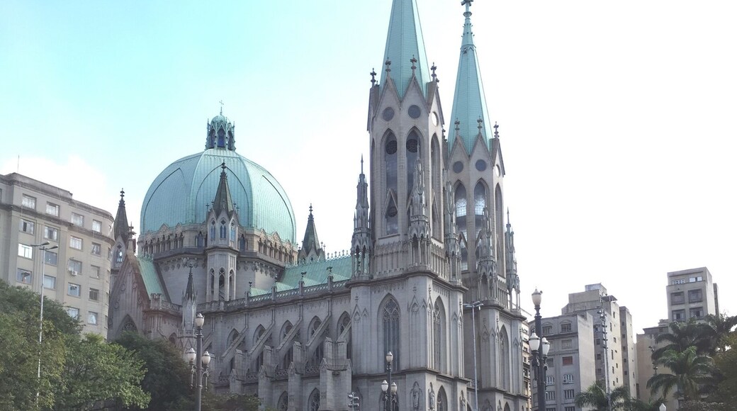 The Cathedral is the largest church in the city of São Paulo : 111 metres long, 46 metres wide, with the two flanking towers reaching a height of 92 metres. The Cathedral is a Latin cross church with a five-aisled nave and a dome that reaches 30 metres over the crossing. Although the building in general is Neo-Gothic, the dome is inspired by the Renaissance dome of the Cathedral of Florence. It is located in the Praça da Sé, or "Cathedral Square".
The Cathedral has a total capacity for 8,000 people. More than 800 tons of rare marble were used in its completion. The inner capitals are decorated with sculpted Brazilian produce as coffee branches, pineapples, and native animals such as tatus --armadillos.