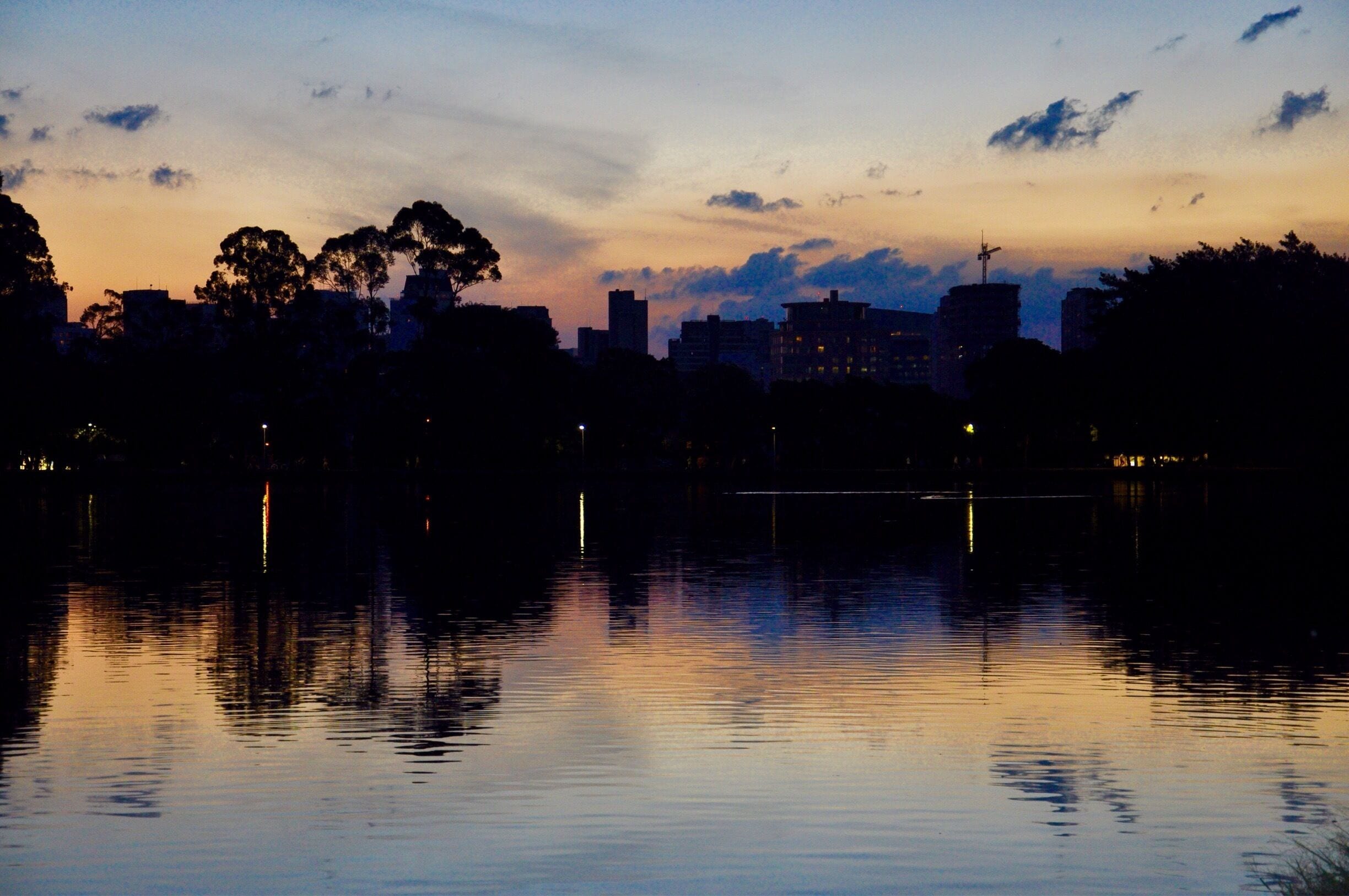 The "Parque do Ibirapuera" is the most impressive and the third largest park in São Paulo. Mainly during the weekends, thousands of people frequent it looking for leisure, culture and sports. The park gathers some of the main facilities for cultural expositions in the city and gorgeous sightseeings.

#GoldenHour #waterlust #colorful
See: www.flickr.com/ddfcarvalho