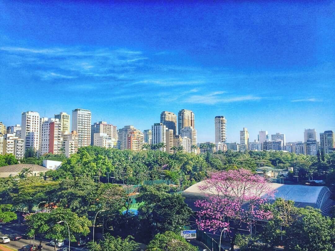 My doctor´s window view ... São Paulo, BR