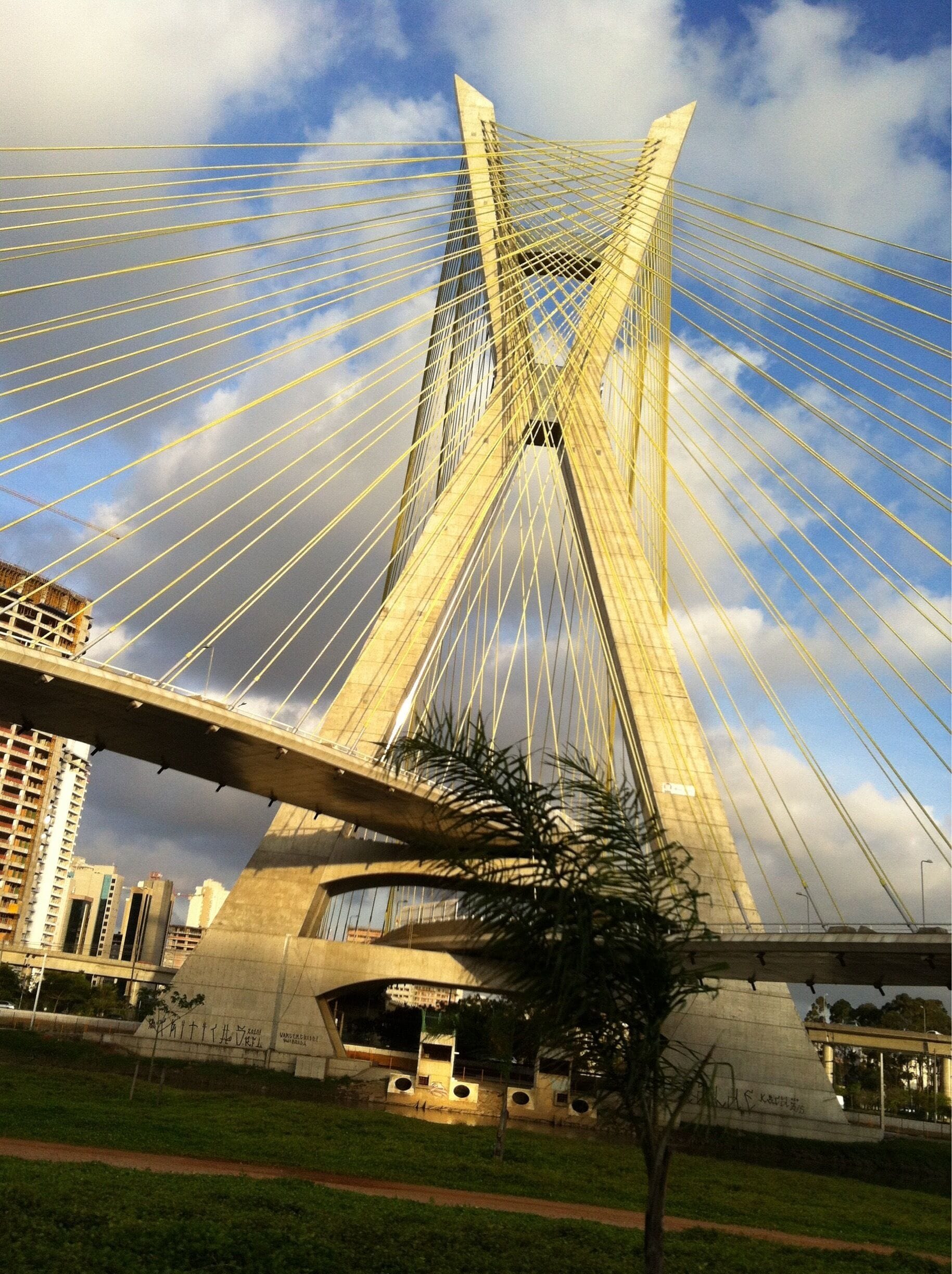 Our famous bridge #saopaulo #brazil #bridge #brasil 