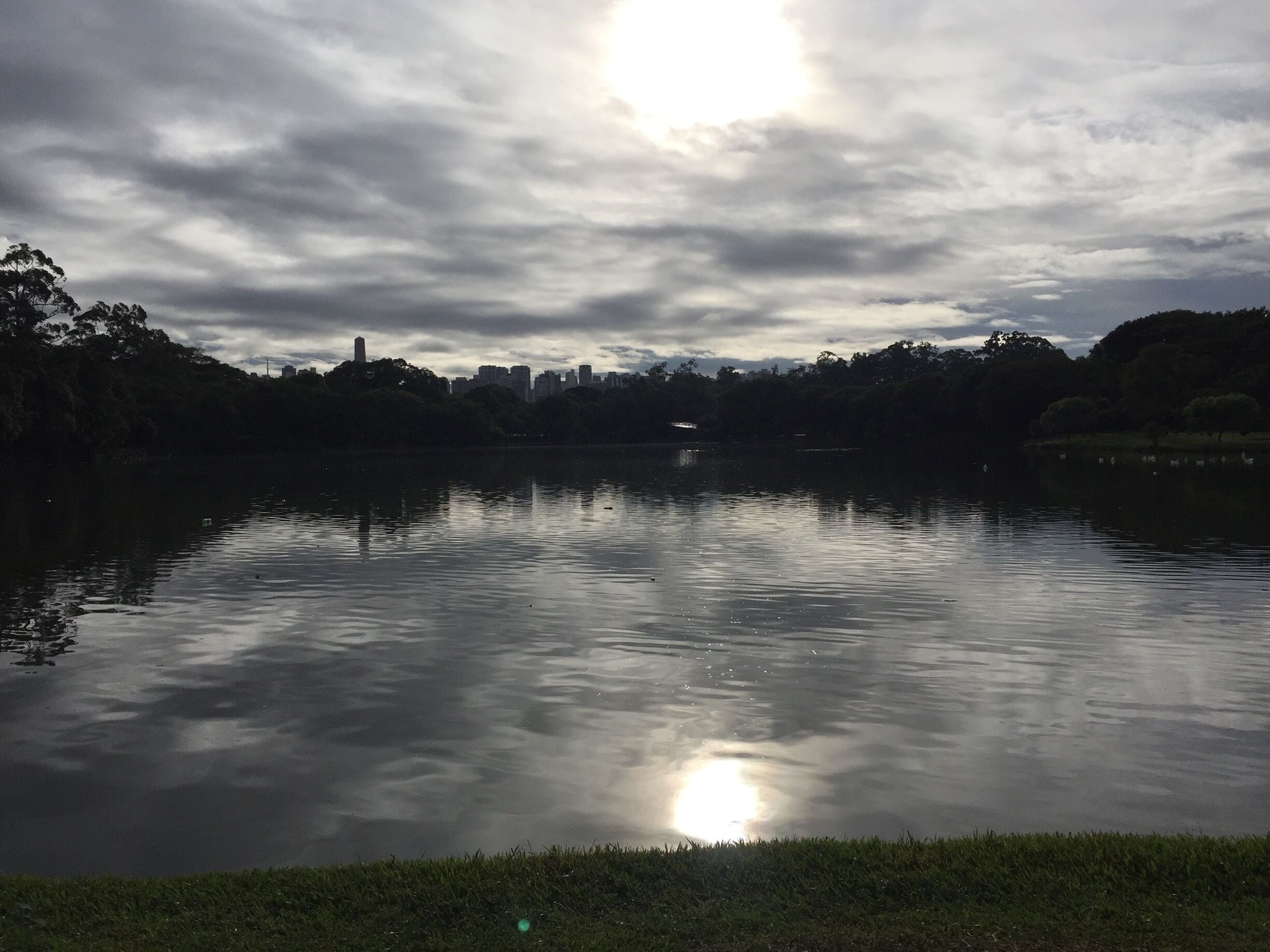 Beautiful mid-sized park in the center of the city. Convenient paved running and biking trails so you can exercise like the locals. #merch