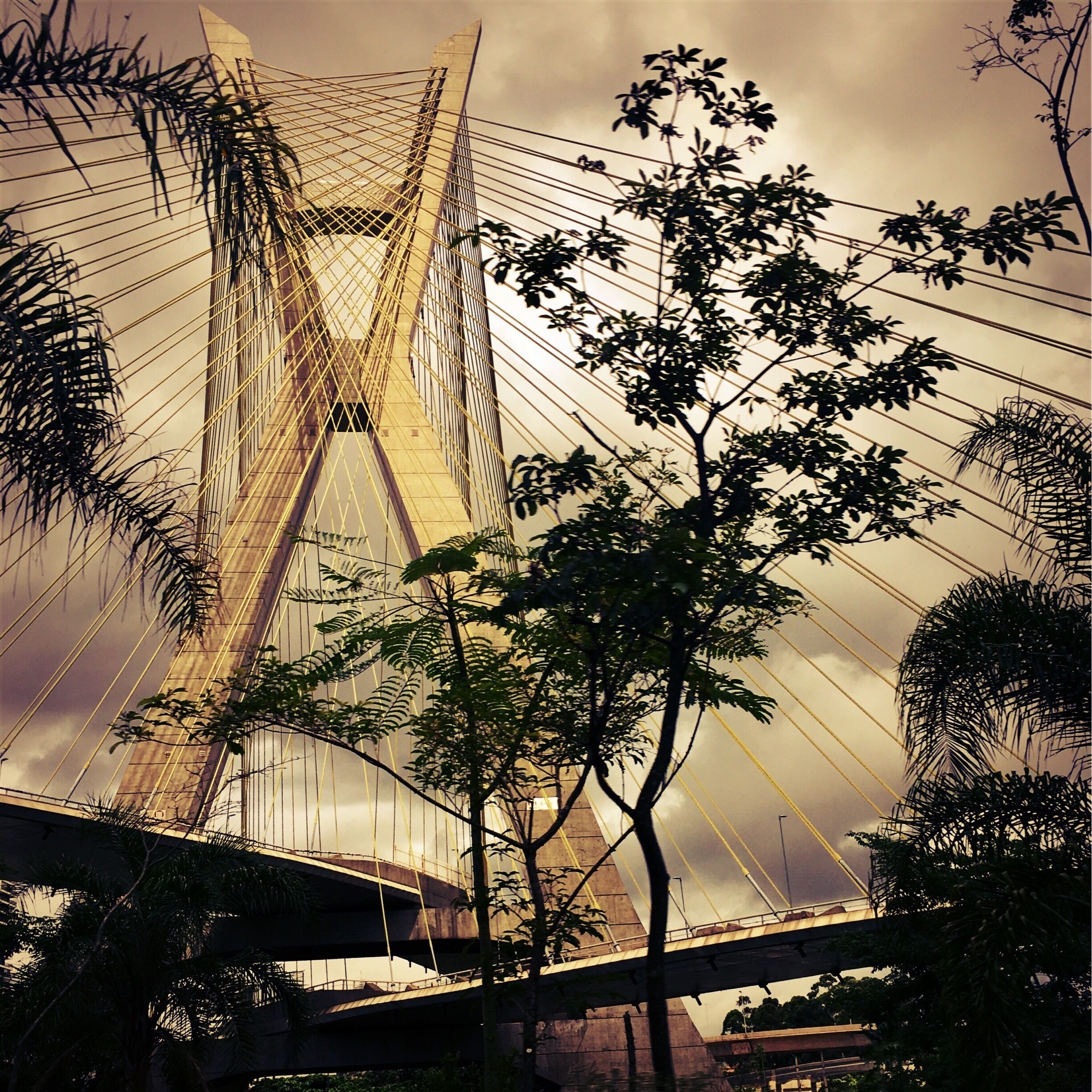 Landmark of S. Paulo city in Brazil, the so called ‘Ponte Estaiada’.