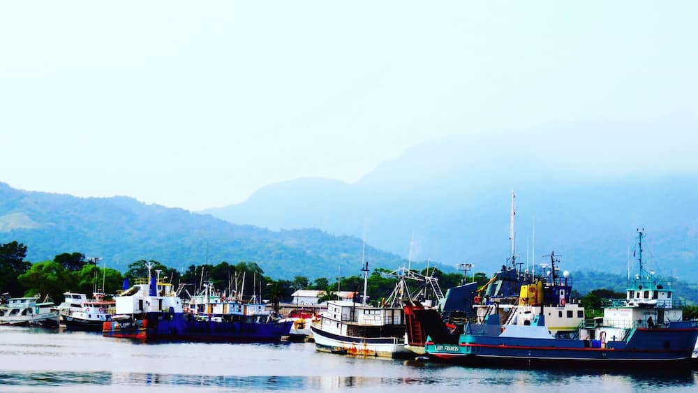 Looking back at the coastline of La Ceiba and all the many old boats and ships moored at the docks, from the deck of the ferry, Utila Dream, as the ferry is leaving La Ceiba for The Caribbean island of Utila. #blue