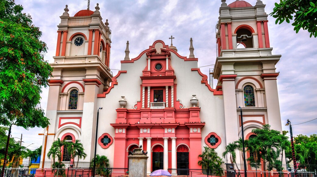 Cathedral of Saint Peter the Apostle in the center of San Pedro Sula, Honduras