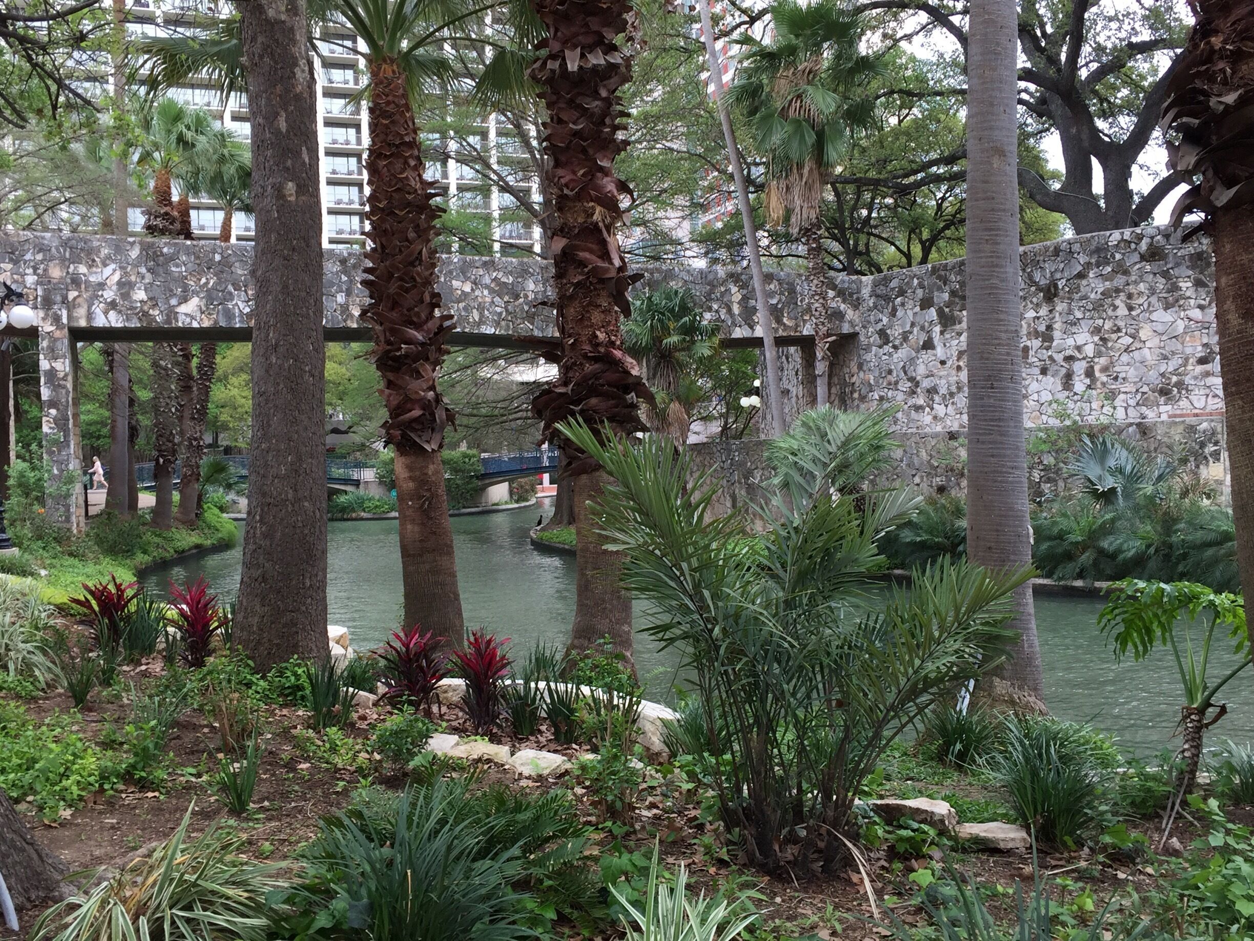 The San Antonio river walk is a city park with walkways one story below the city streets that meander along the San Antonio river