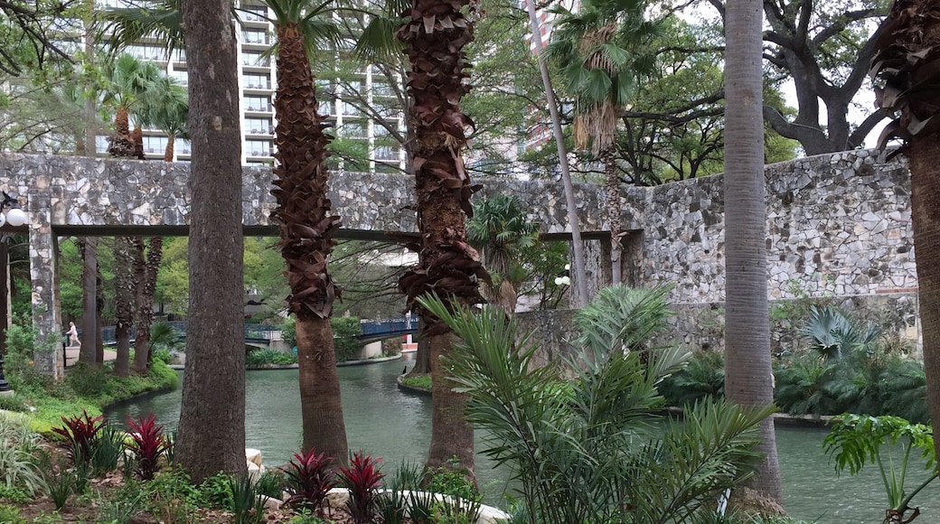 The San Antonio river walk is a city park with walkways one story below the city streets that meander along the San Antonio river