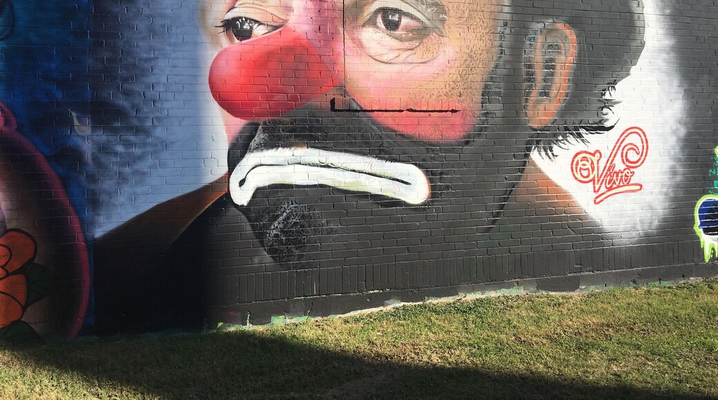 Street art in San Antonio