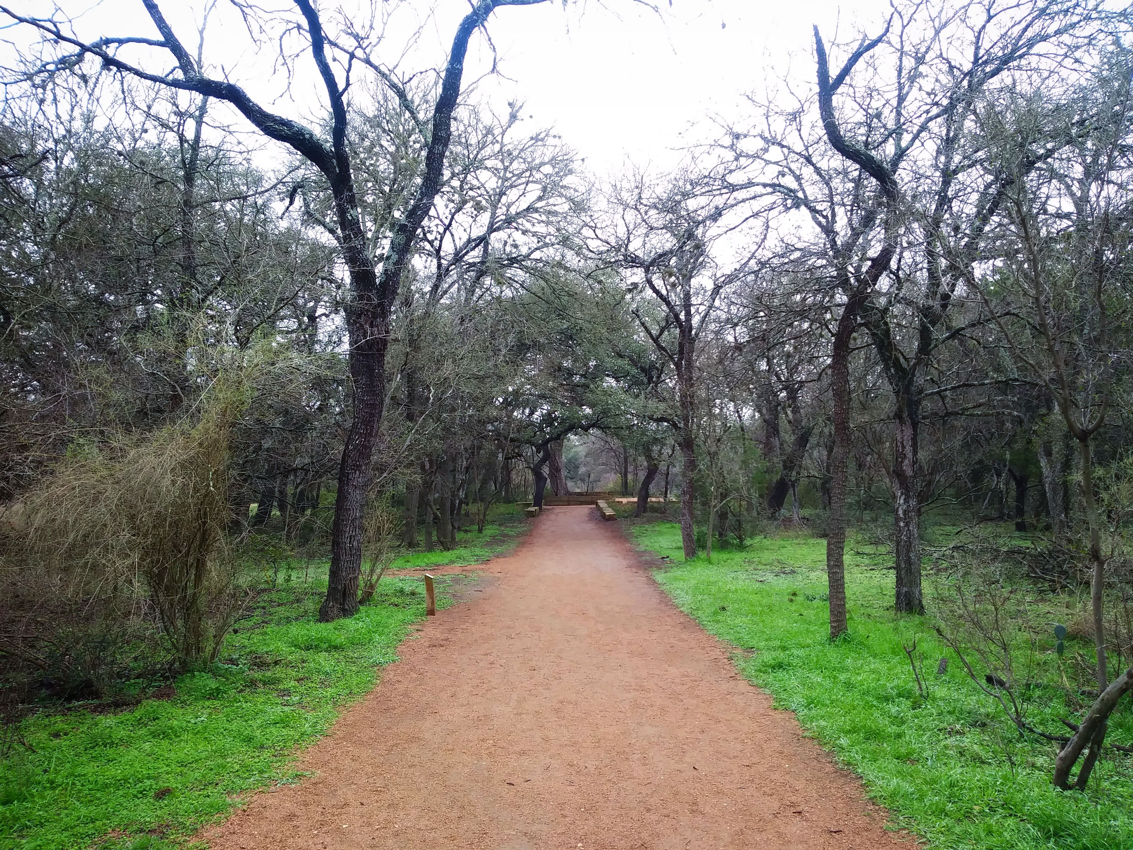 Fantastic walk in the mornings. You can usually find deer here