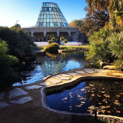 Took a quick shot as I explored the San Antonio Botanical Garden before the wedding ceremony.