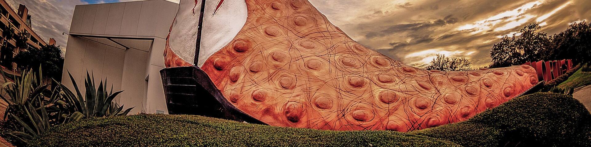 It's Texas, of course everything is bigger! #guinessworldrecord #visittexas #hdr #fisheye