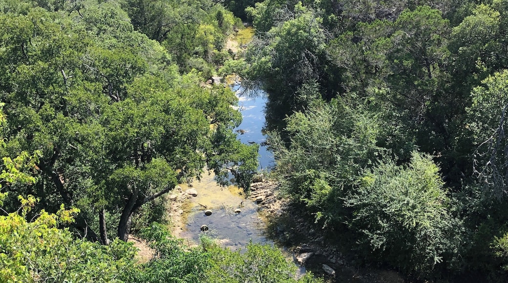View from the cliffs above the dinosaur tracks in the river below in Government Canyon State Natural Area.