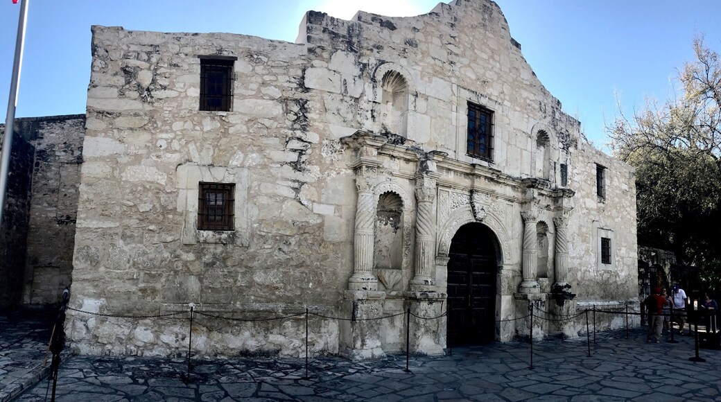 Remember the Alamo
