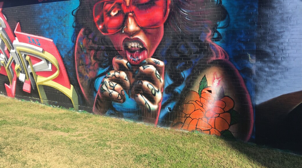Street art in San Antonio