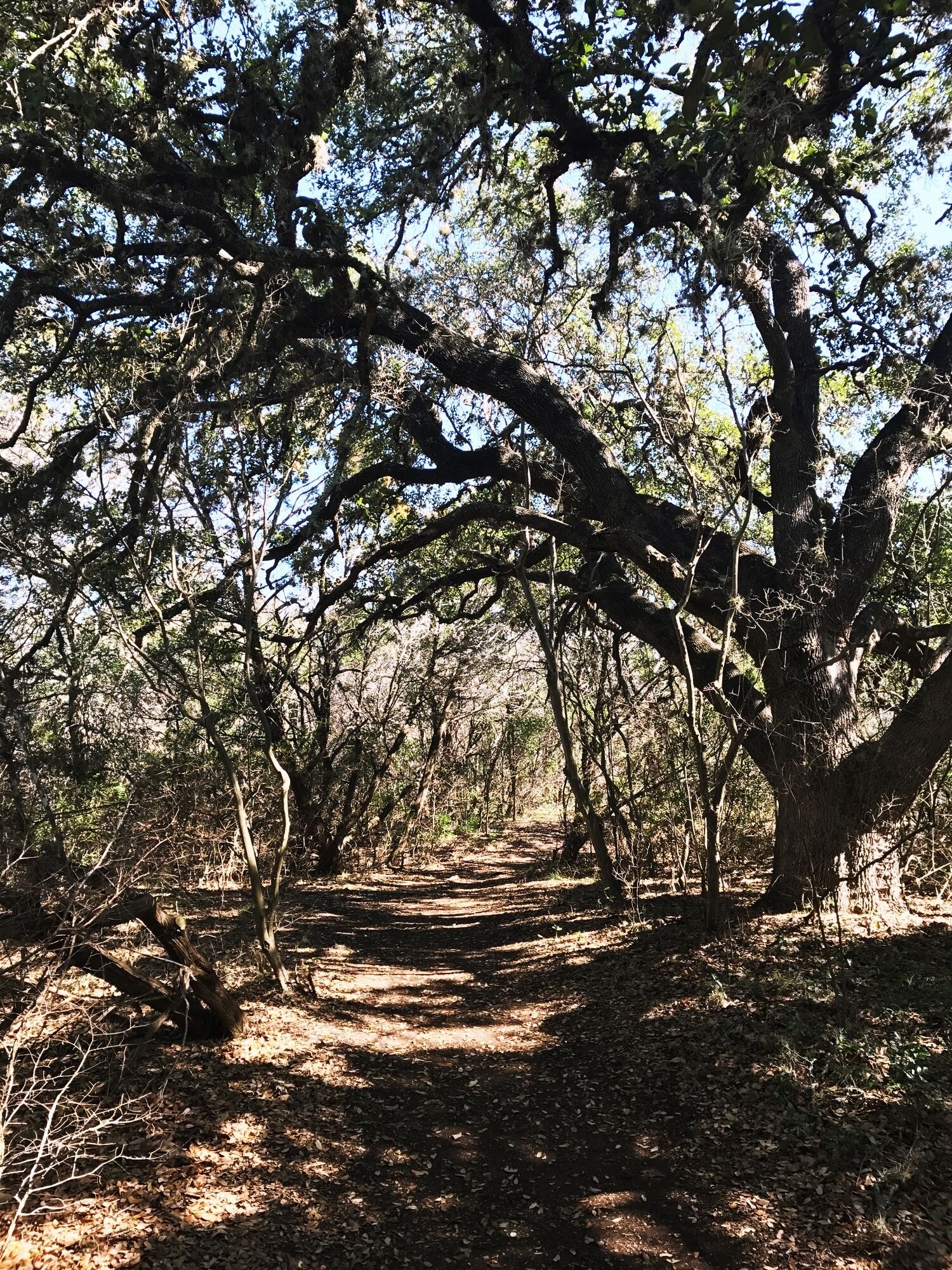 Beautiful day for a hike :)