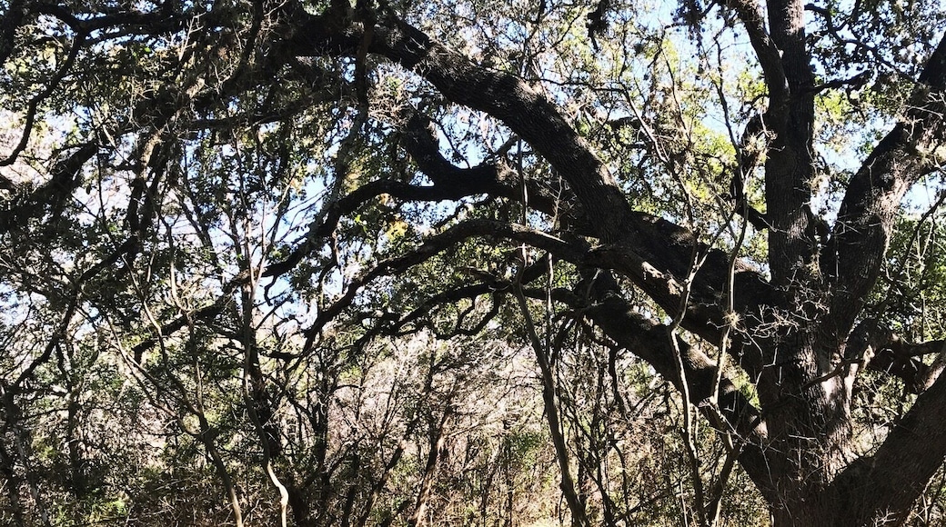 Beautiful day for a hike :)