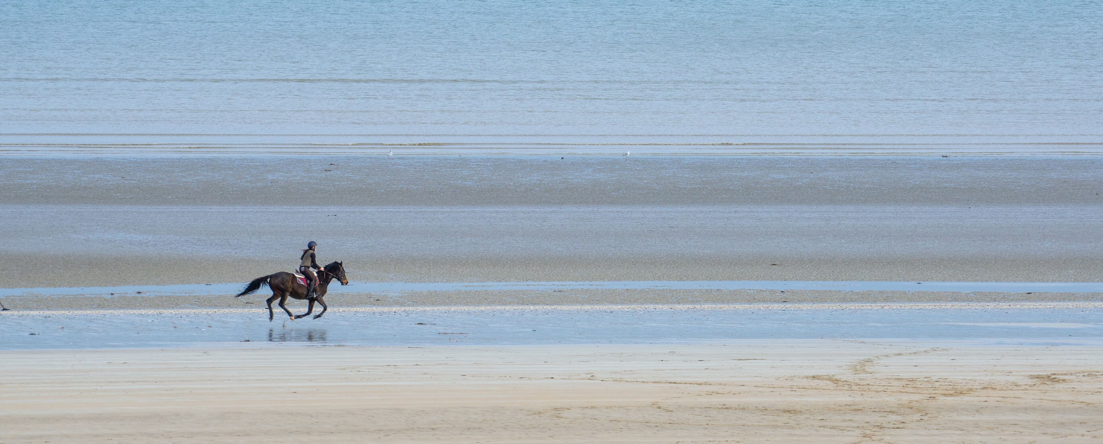 A horse and rider on a beach with calm water and sand.