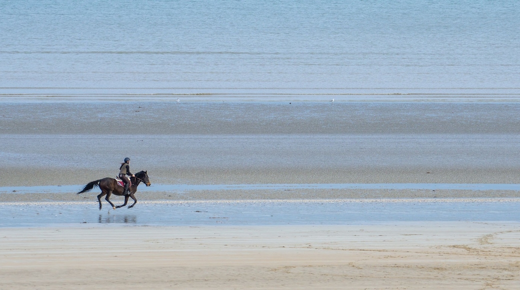 A horse and rider on a beach with calm water and sand.