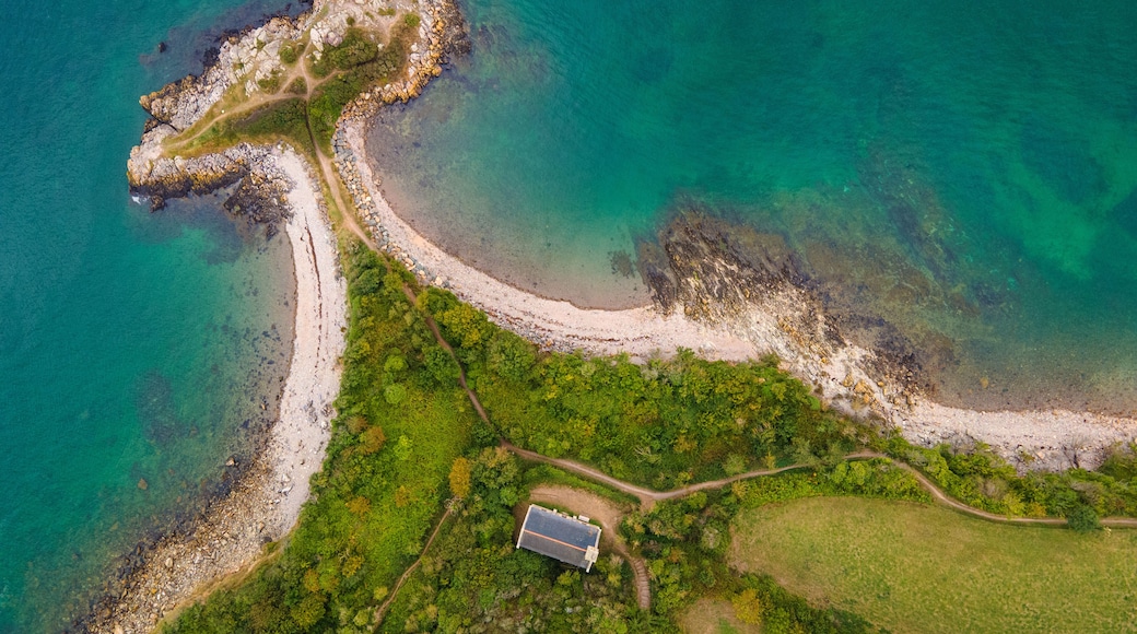 An aerial view of a coastal area with a rocky shoreline, a clear path leading to a building, and lush greenery.