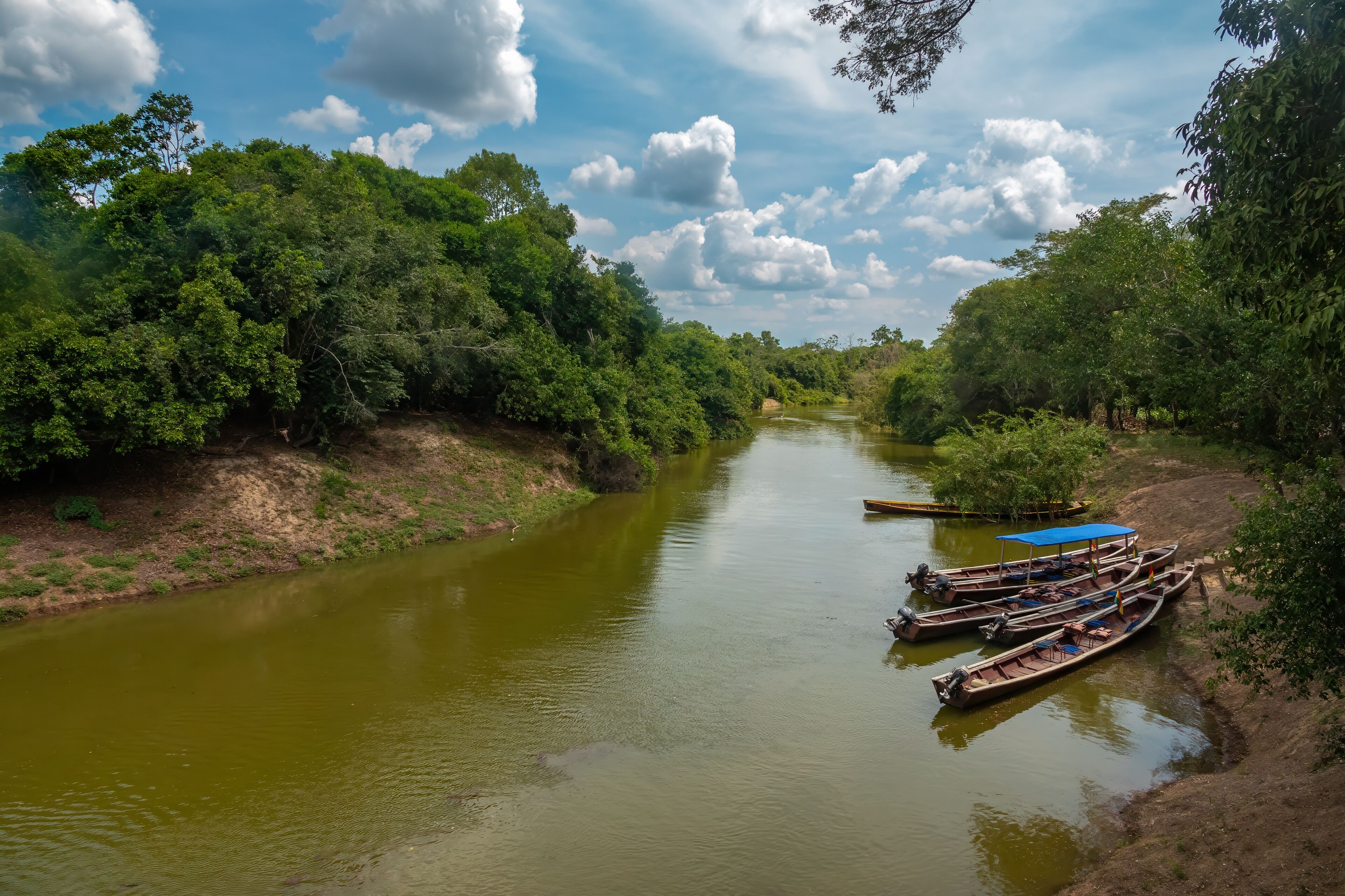 Navigating the Yacuma river, Santa Rosa de Yacuma Protected Park, Rurrenabaque, Beni, Bolivia