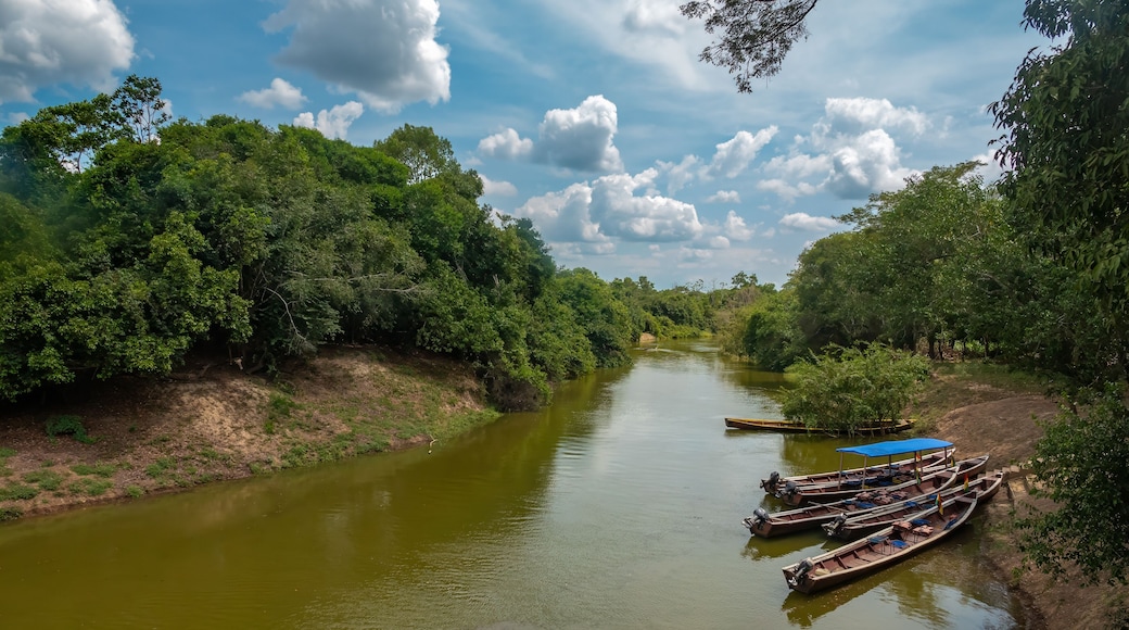 Navigating the Yacuma river, Santa Rosa de Yacuma Protected Park, Rurrenabaque, Beni, Bolivia