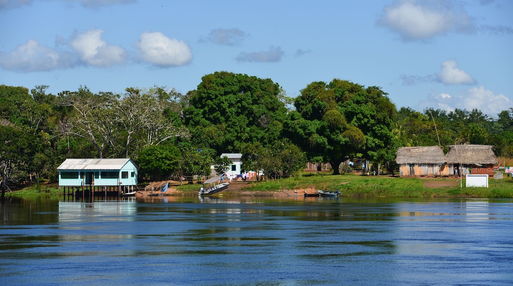 São Francisco do Guaporé
