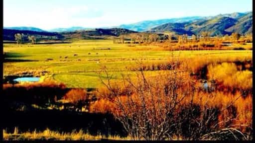Yampa Valley view from the trailhead to Sarvis Creek outside of Steamboat Springs, CO.