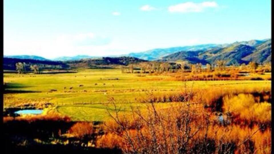 A wide-open field with a small body of water in the foreground, surrounded by dry grass and hills in the background.