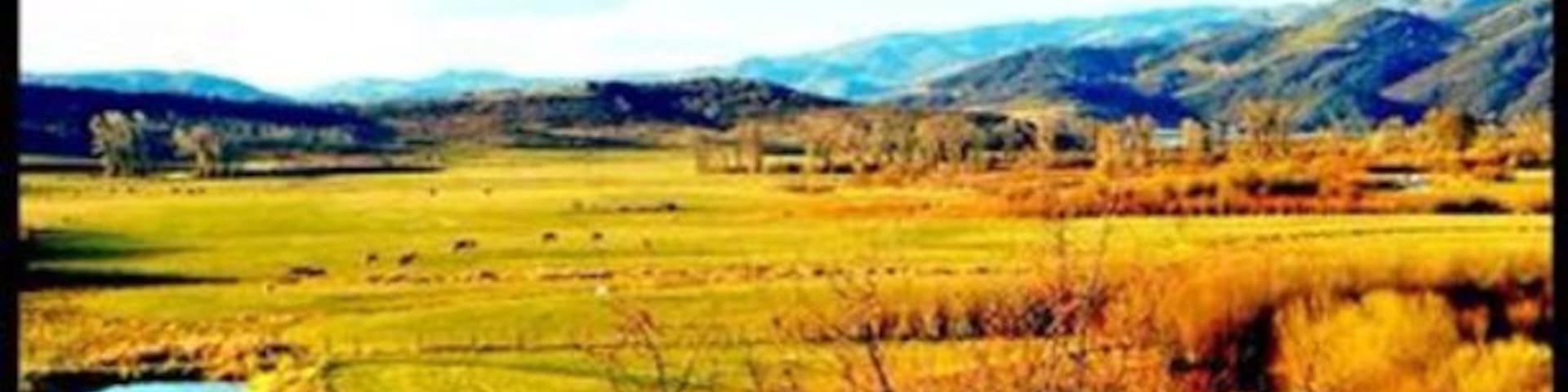 Yampa Valley view from the trailhead to Sarvis Creek outside of Steamboat Springs, CO.
