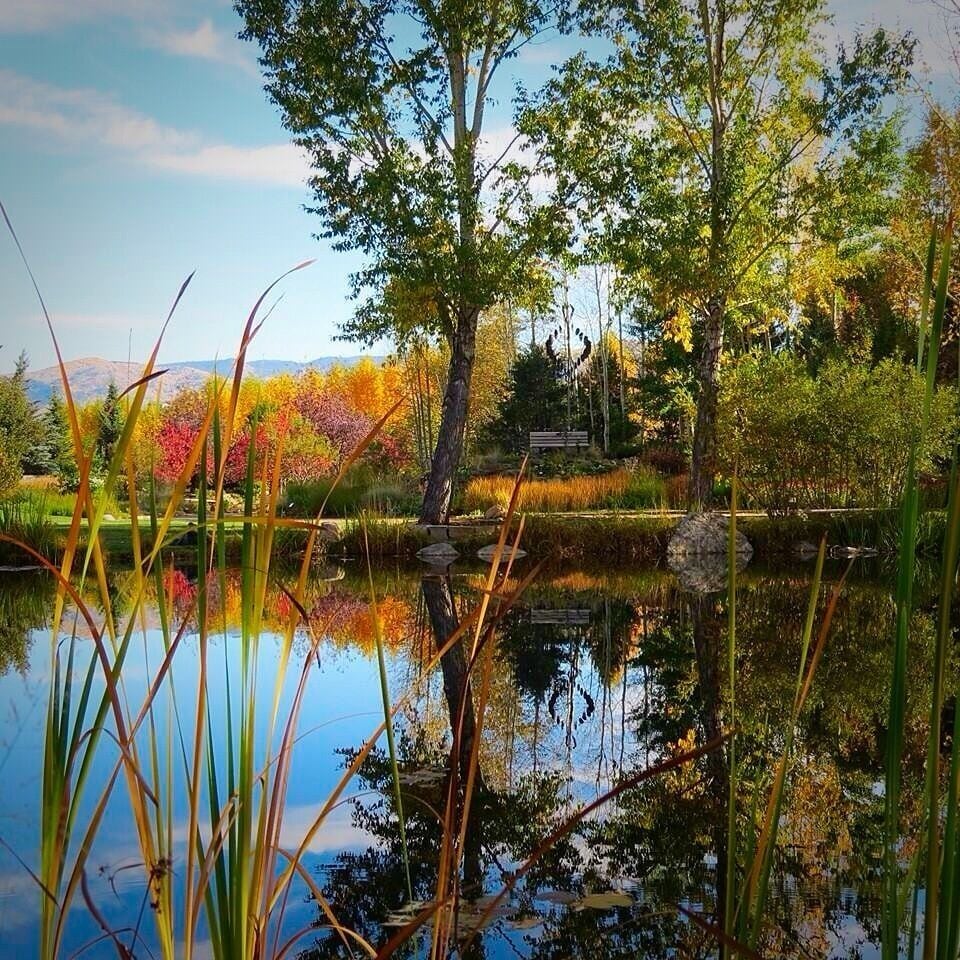 Changing fall colors at botanic gardens