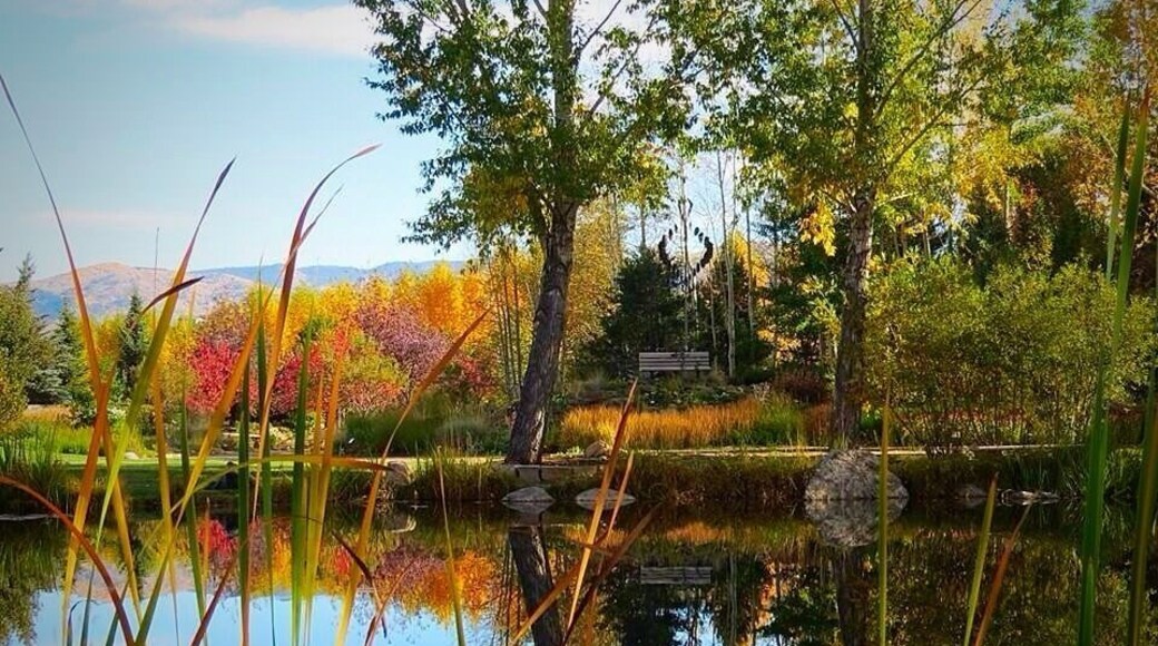Changing fall colors at botanic gardens