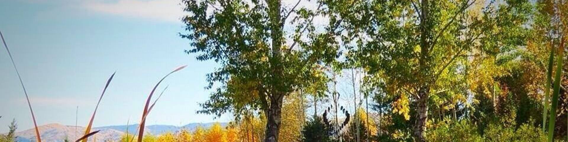 Changing fall colors at botanic gardens