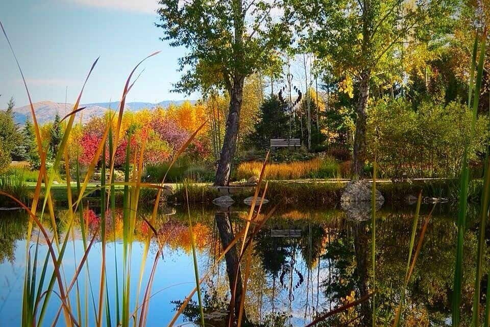 A serene pond with reflections of trees and reeds, surrounded by a lush landscape with autumn foliage.
