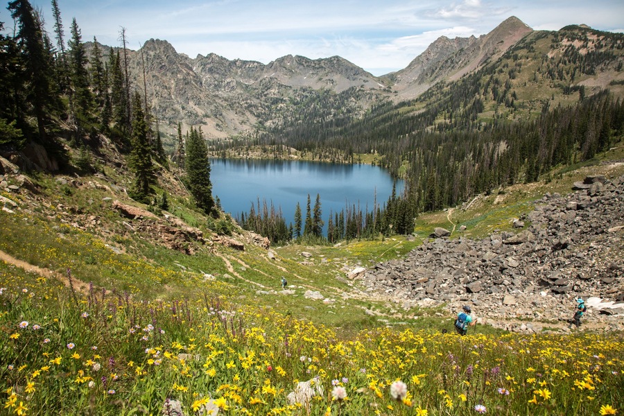 Goodbye summer! I enjoyed hiking and traveling. Here is one of my favorite hikes through the Zirkel wilderness. The wildflowers there are outstanding.
#hiking #exploring #adventure #wildflowers #wilderness