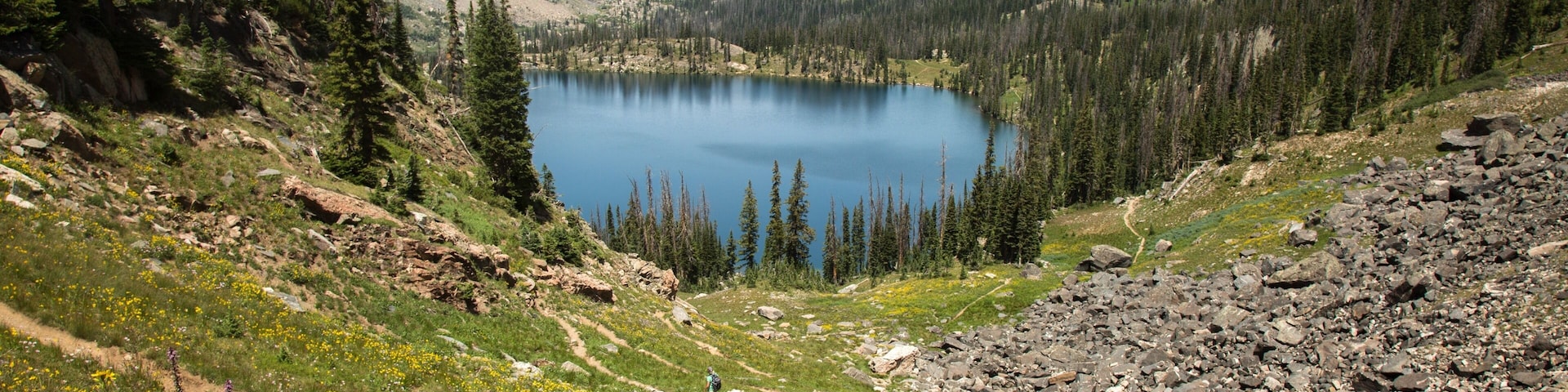 Goodbye summer! I enjoyed hiking and traveling. Here is one of my favorite hikes through the Zirkel wilderness. The wildflowers there are outstanding.
#hiking #exploring #adventure #wildflowers #wilderness