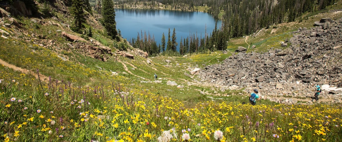 A mountain lake surrounded by forest and rocky terrain.