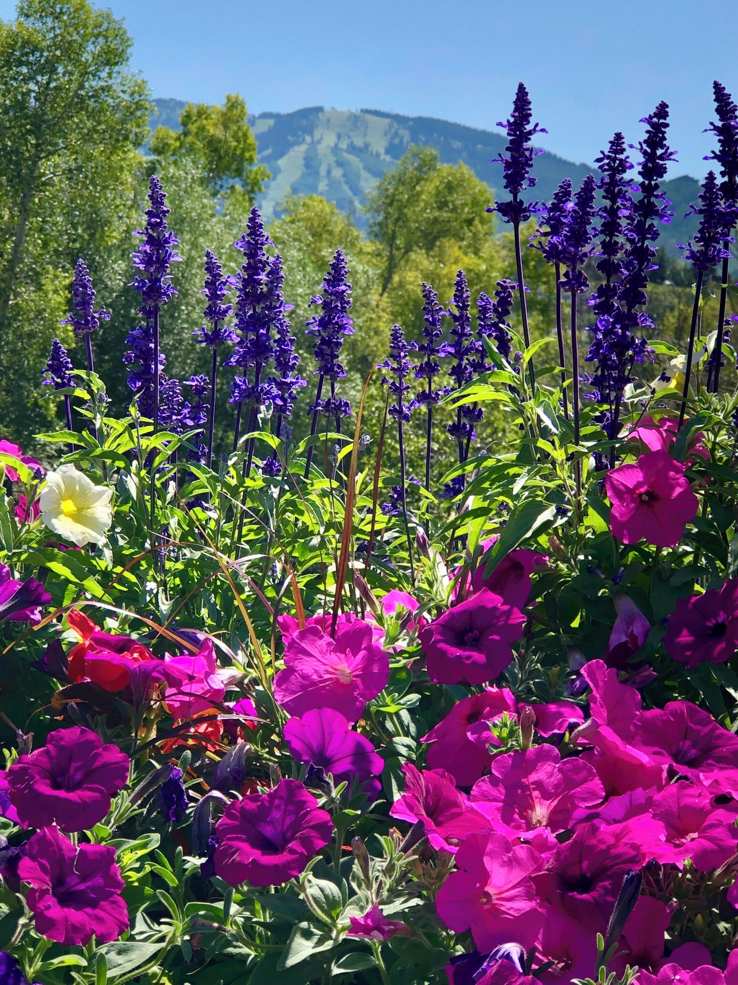 Vibrant colors and ski hills in the distance. #adventure #adventurephotocontest