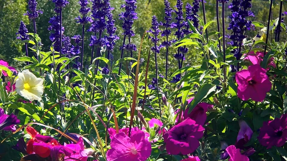Vibrant colors and ski hills in the distance. #adventure #adventurephotocontest