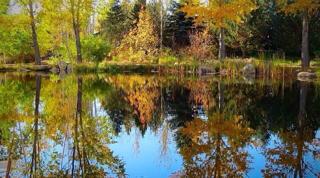 Changing fall colors at botanic gardens #reflections