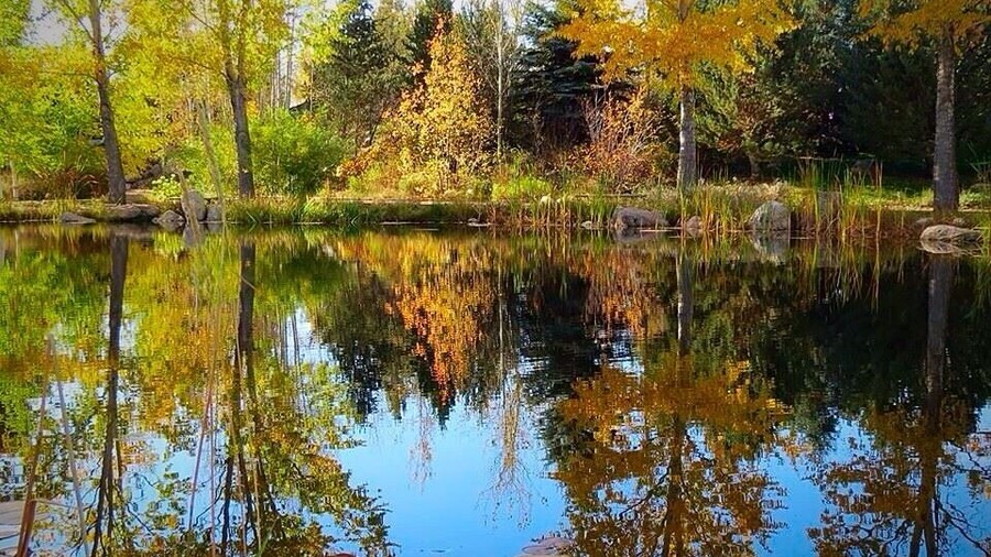 Changing fall colors at botanic gardens #reflections