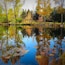 A calm lake with reflections of trees and a clear sky.
