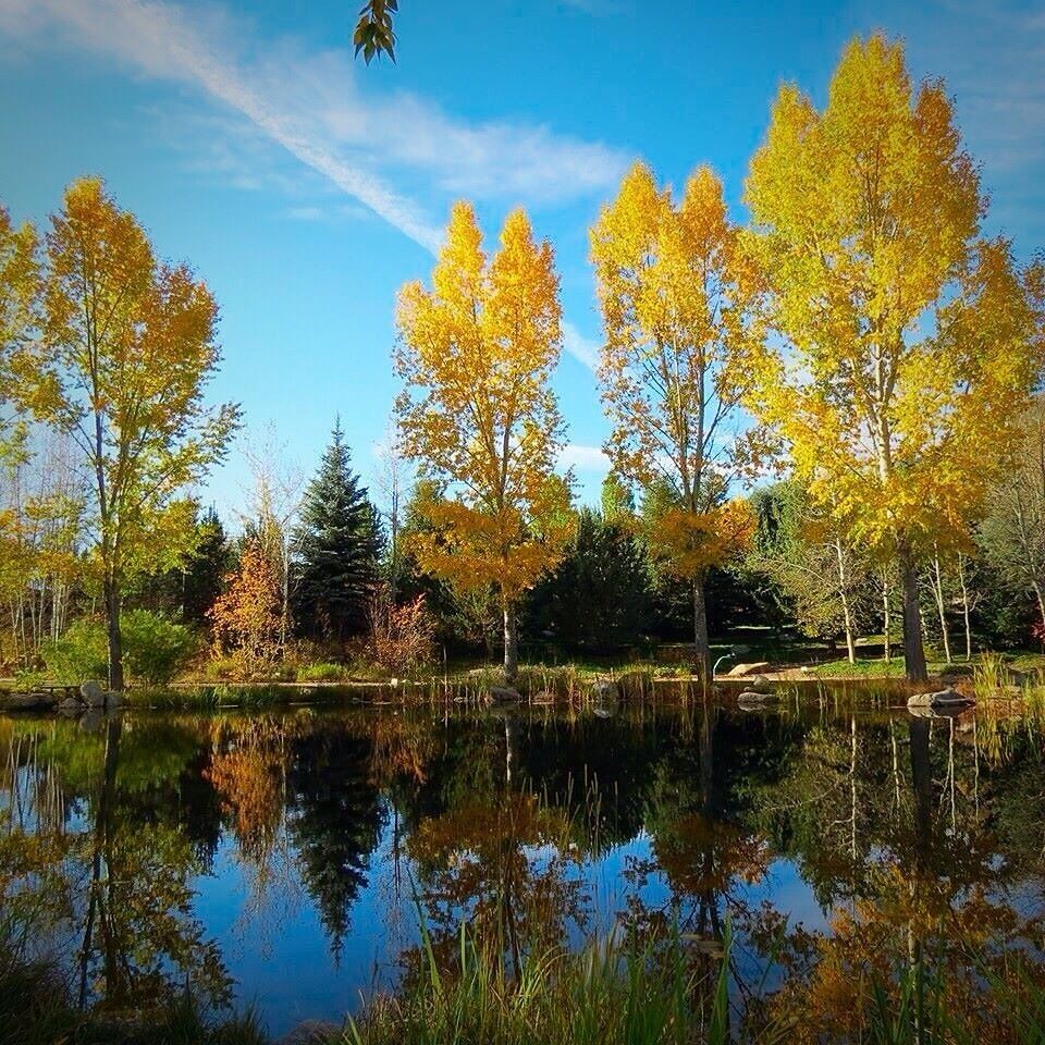 Changing fall colors #reflections